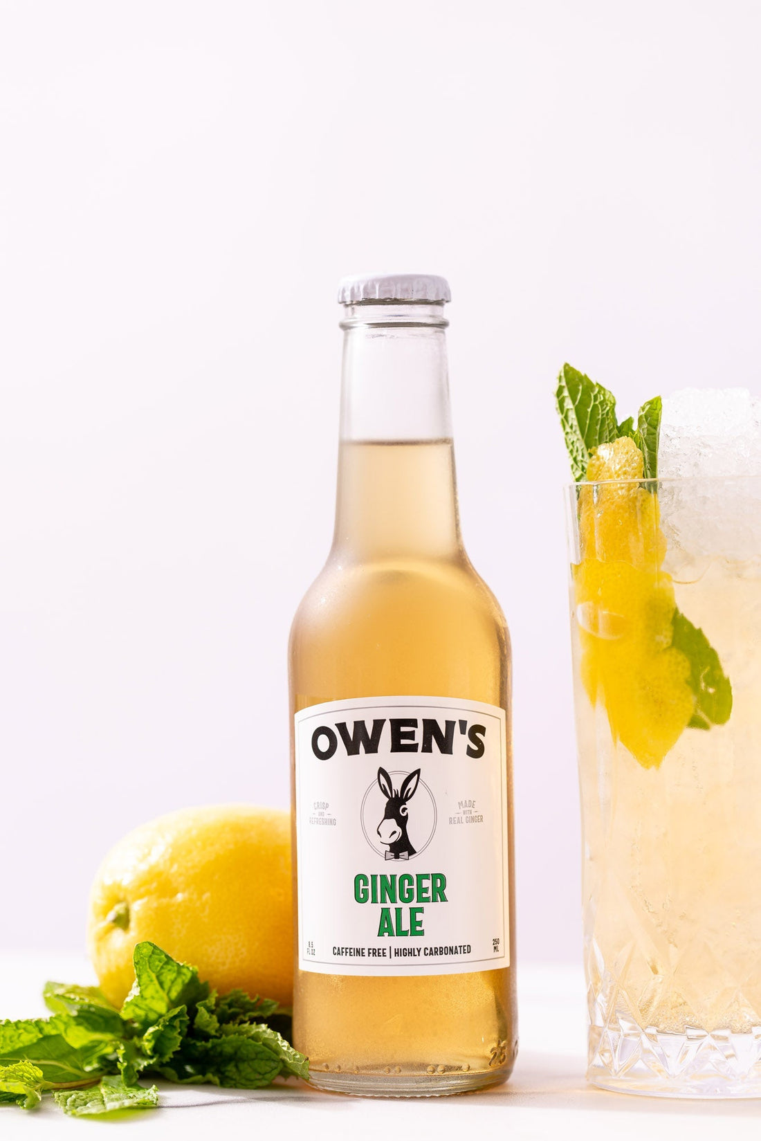 Owen's Mexican Ginger